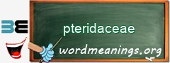 WordMeaning blackboard for pteridaceae